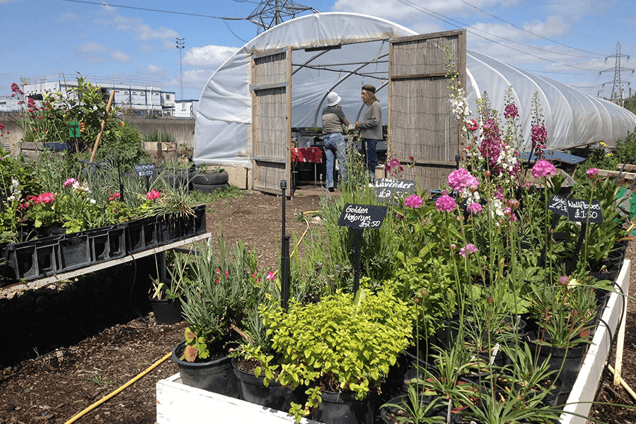 Horticulture